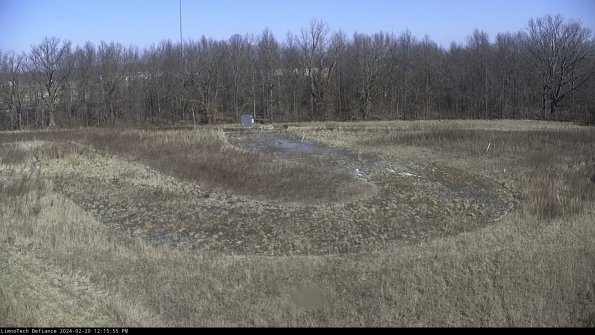 Cell 4_24-02-20_12-15-55-92