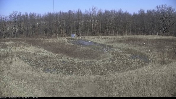 Cell 4_24-02-20_13-22-54-93