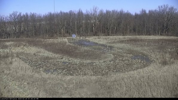 Cell 4_24-02-20_13-56-23-95