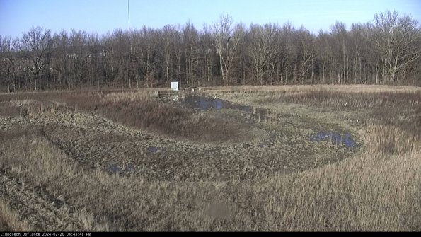 Cell 4_24-02-20_16-43-48-94