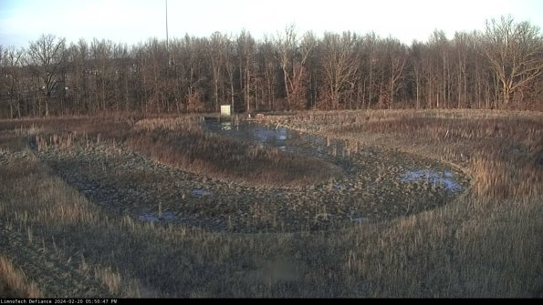 Cell 4_24-02-20_17-50-47-91