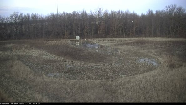 Cell 4_24-02-20_18-24-16-93