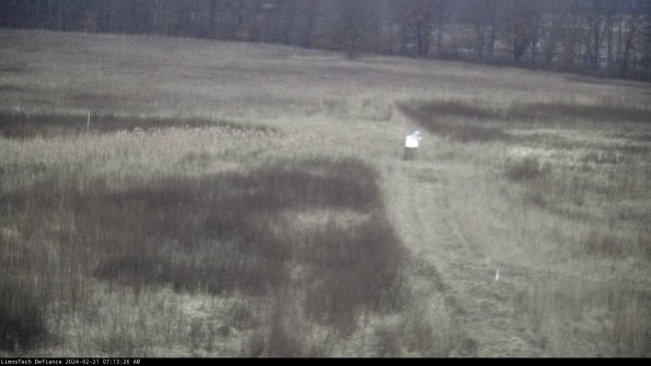 Cell 1 to 2_24-02-21_07-13-26-93