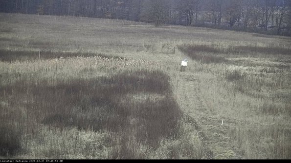 Cell 1 to 2_24-02-21_07-46-56-92