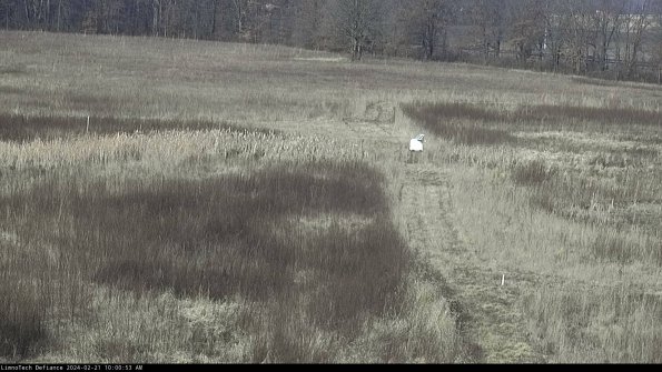 Cell 1 to 2_24-02-21_10-00-53-94