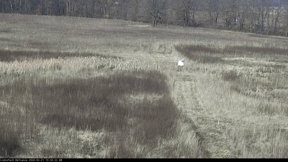 Cell 1 to 2_24-02-21_10-34-22-92