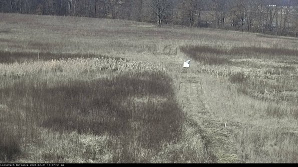 Cell 1 to 2_24-02-21_11-07-51-91