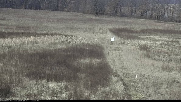 Cell 1 to 2_24-02-21_11-41-21-93