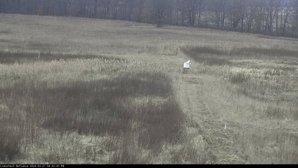 Cell 1 to 2_24-02-21_16-42-47-90