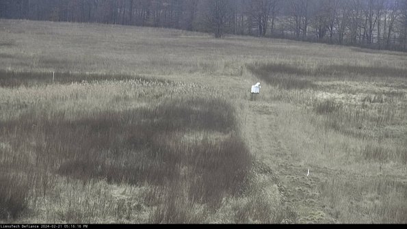 Cell 1 to 2_24-02-21_17-16-16-92