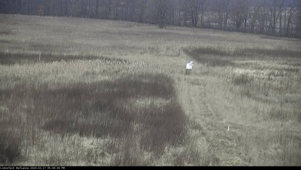 Cell 1 to 2_24-02-21_17-49-46-94