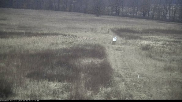 Cell 1 to 2_24-02-21_18-23-16-93