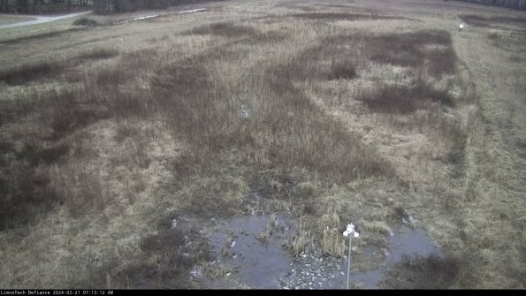 Cell 1_24-02-21_07-13-12-92