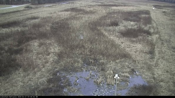 Cell 1_24-02-21_07-46-42-94