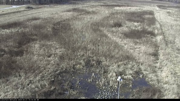 Cell 1_24-02-21_10-34-08-94