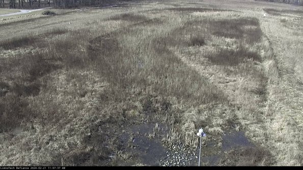 Cell 1_24-02-21_11-07-37-93