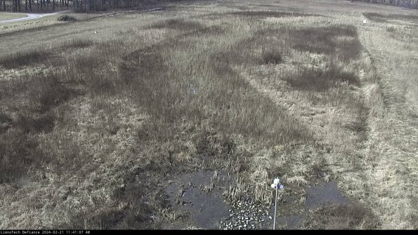 Cell 1_24-02-21_11-41-07-91