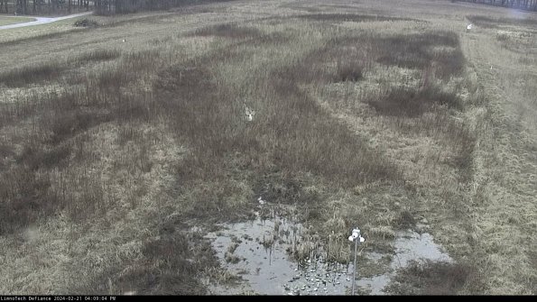 Cell 1_24-02-21_16-09-04-94