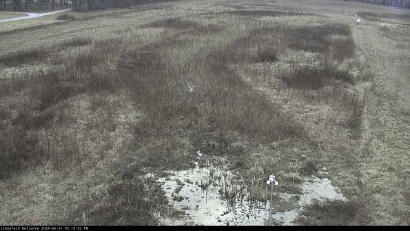 Cell 1_24-02-21_17-16-02-94