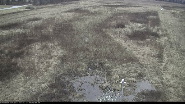 Cell 1_24-02-21_17-49-32-93