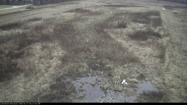 Cell 1_24-02-21_18-23-02-95