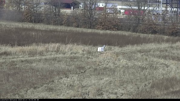 Cell 2 to 3_24-02-21_10-34-48-98