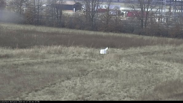 Cell 2 to 3_24-02-21_15-36-15-13