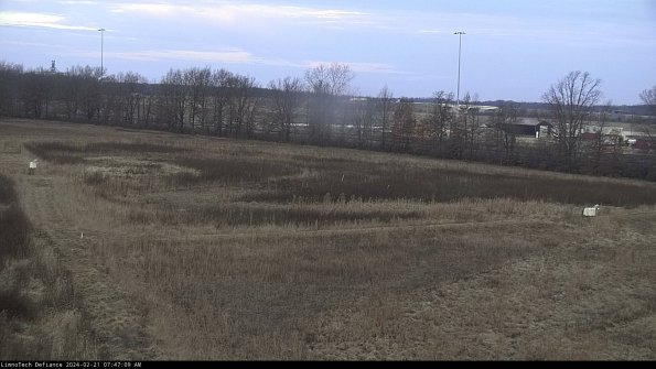 Cell 2_24-02-21_07-47-09-96