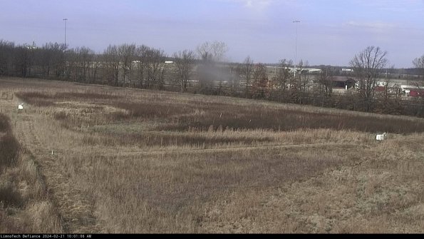 Cell 2_24-02-21_10-01-06-99