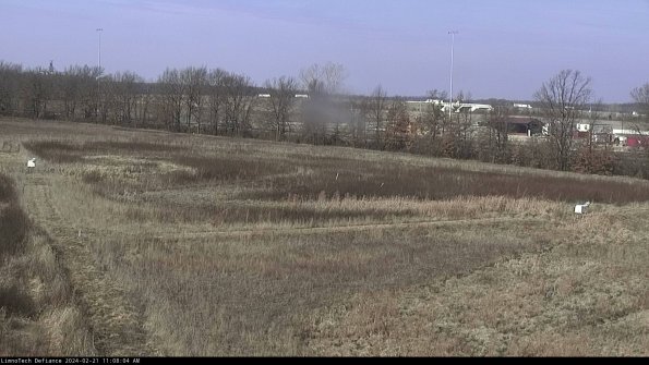 Cell 2_24-02-21_11-08-04-96