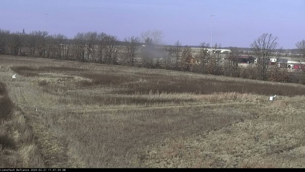 Cell 2_24-02-21_11-41-34-94