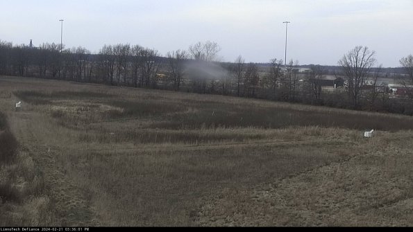 Cell 2_24-02-21_15-36-02-01