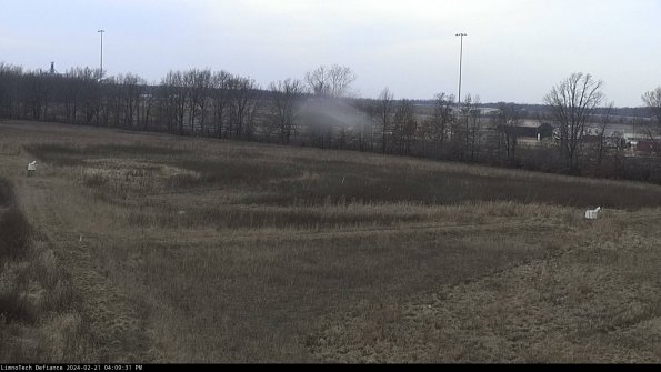 Cell 2_24-02-21_16-09-31-96