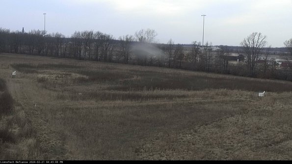 Cell 2_24-02-21_16-43-00-95