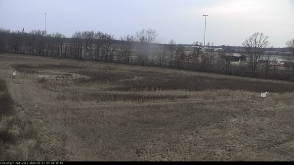 Cell 2_24-02-21_17-49-59-99