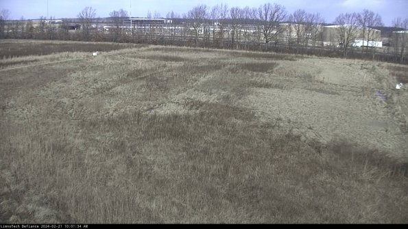 Cell 3_24-02-21_10-01-34-91