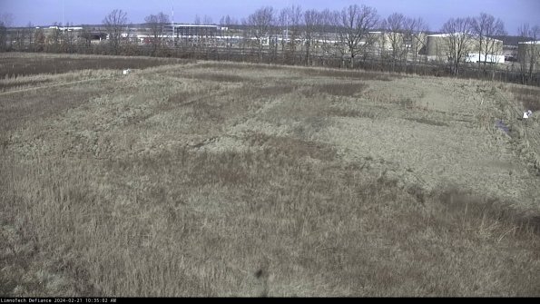 Cell 3_24-02-21_10-35-03-16