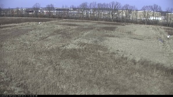 Cell 3_24-02-21_11-42-02-90