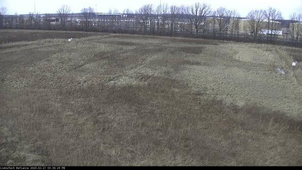 Cell 3_24-02-21_15-36-29-94