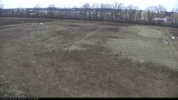 Cell 3_24-02-21_16-43-28-94