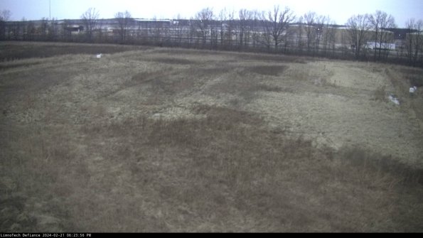 Cell 3_24-02-21_18-23-57-20