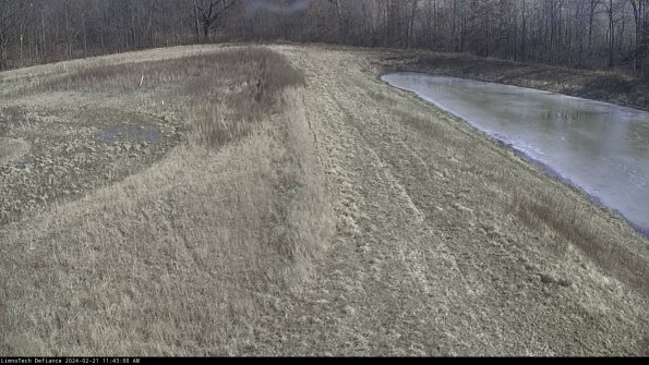 Cell 4 to Basin_24-02-21_11-43-00-93