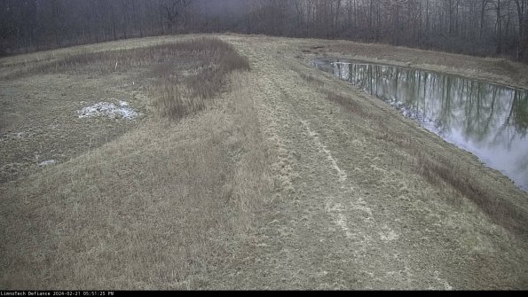 Cell 4 to Basin_24-02-21_17-51-25-94