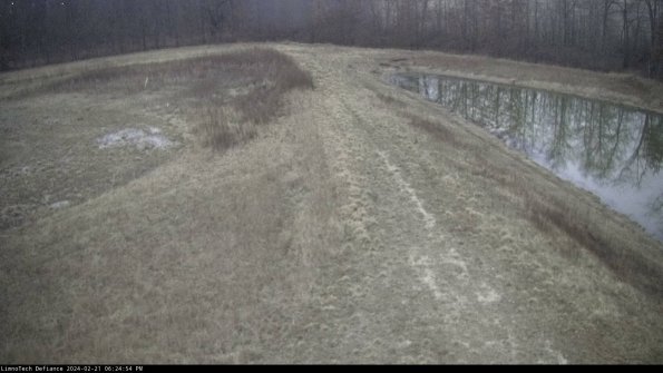 Cell 4 to Basin_24-02-21_18-24-54-92