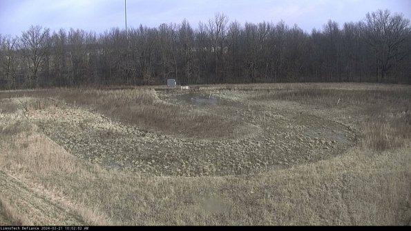 Cell 4_24-02-21_10-02-02-91