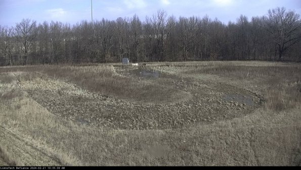 Cell 4_24-02-21_10-35-30-92