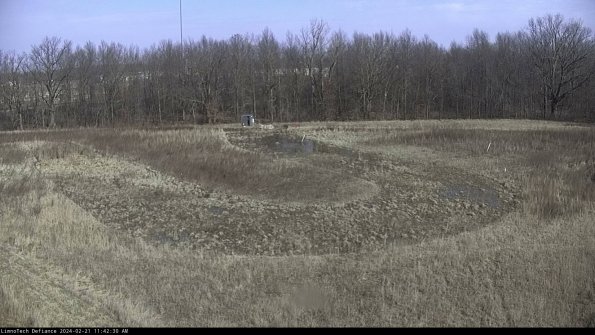 Cell 4_24-02-21_11-42-30-93