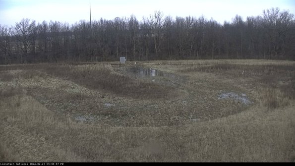 Cell 4_24-02-21_15-36-57-93