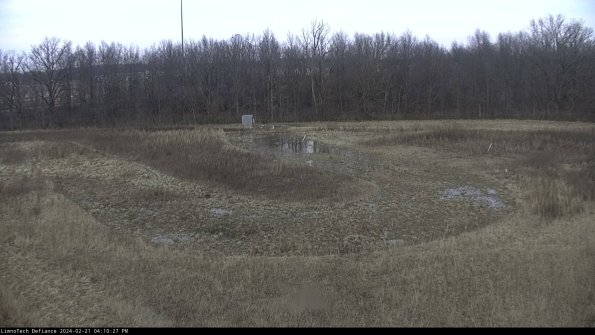 Cell 4_24-02-21_16-10-27-92