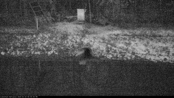 Basin Inflow_24-02-24_18-59-39-10